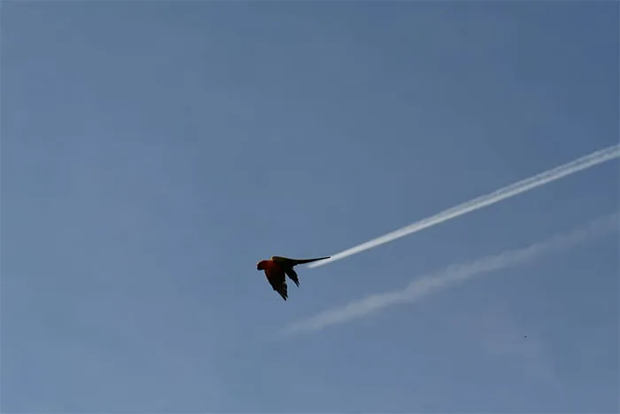 Very Fast