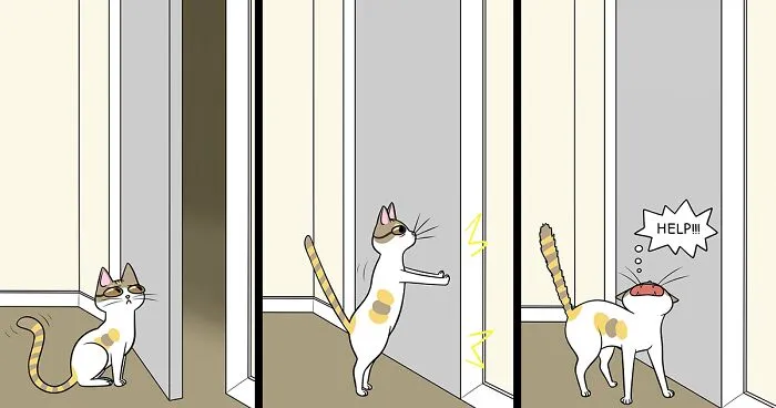 Artist Makes Comics About Her Daily Life With A Boyfriend And A Cat, And Here Are The Best 40 Comics (New Pics)