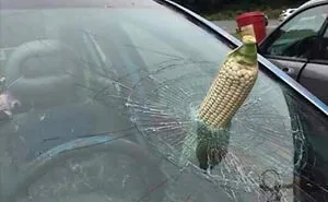 This Instagram Page Is Sharing Cursed Images And Here Are 50 Of The Best Of The Worst Ones