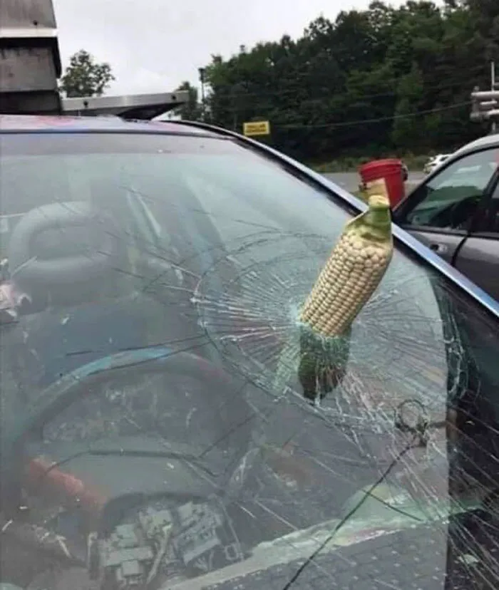 This Instagram Page Is Sharing Cursed Images And Here Are 50 Of The Best Of The Worst Ones