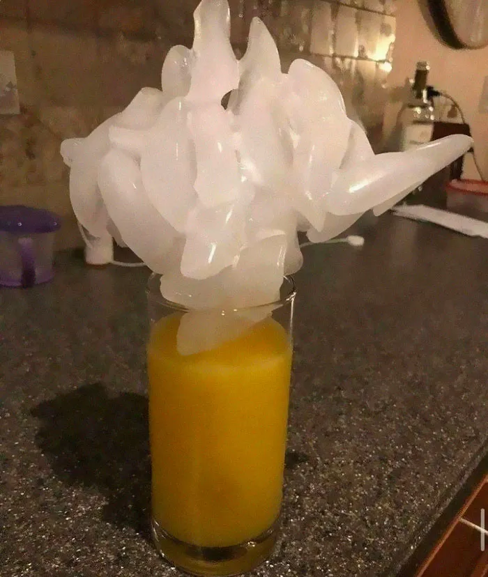 Funny-Cursed-Images