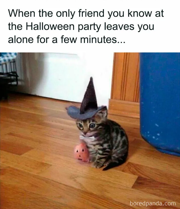 In Honor Of Halloween, Here Are 50 Hilarious And Spooky Pics And Memes