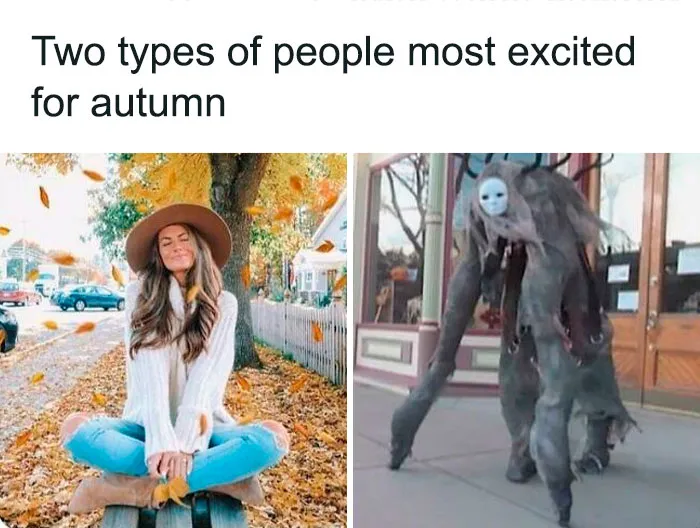 In Honor Of Halloween, Here Are 50 Hilarious And Spooky Pics And Memes