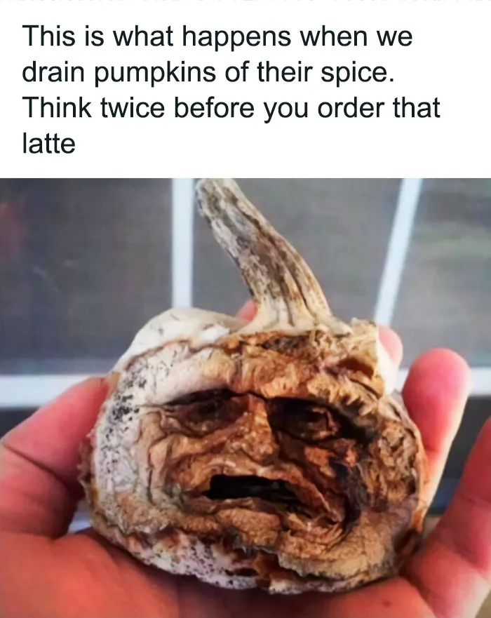 In Honor Of Halloween, Here Are 50 Hilarious And Spooky Pics And Memes