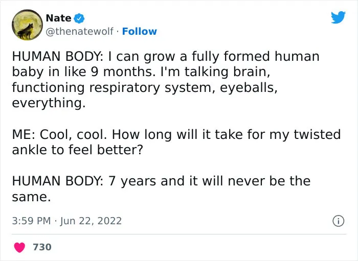 The Human Body Is A Mystery