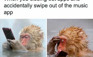 40 Hilariously Relatable Tweets That Perfectly Sum Up 'The Human Experience'