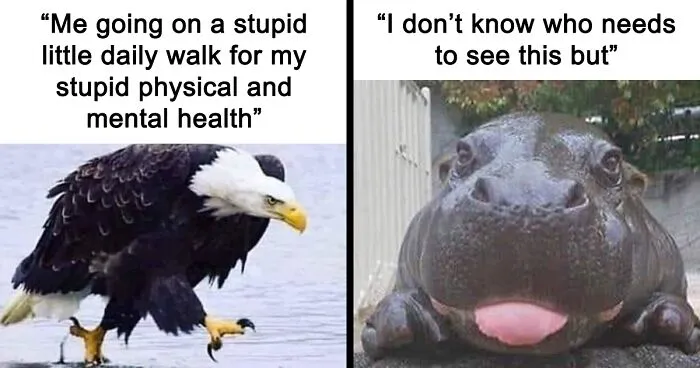 People Are Creating Memes About Nature And All Things Environment, Here Are 35 Of The Best Ones Shared On This Facebook Page