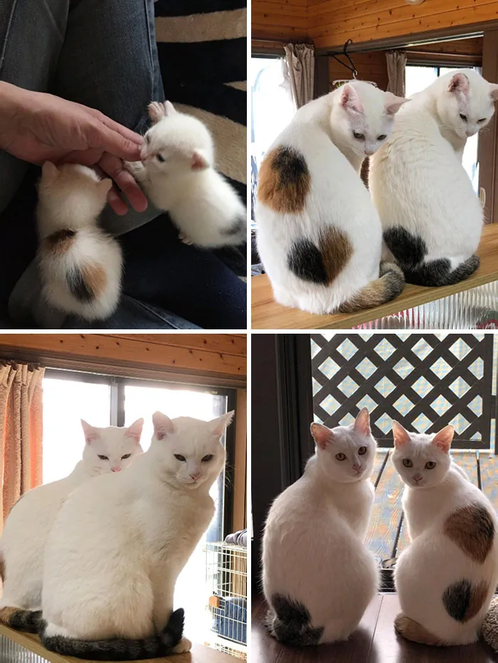 These Two Have Been Twinning Non-Stop Since Birth