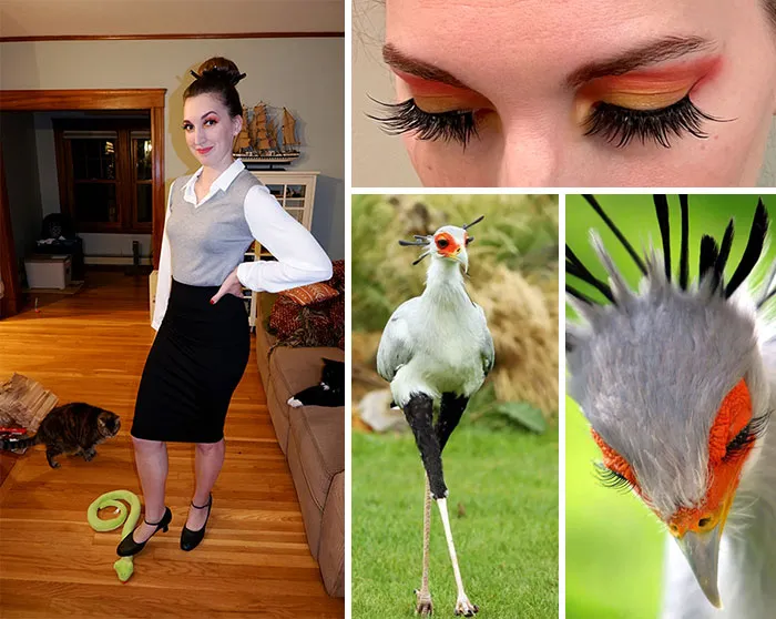 I Was A Secretary Bird For Halloween