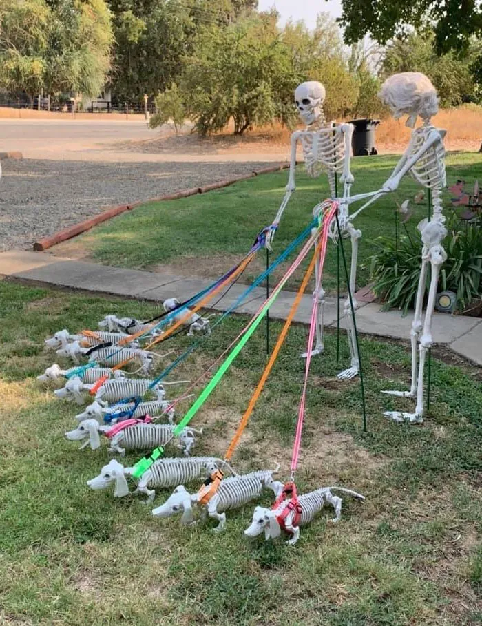Halloween Dream