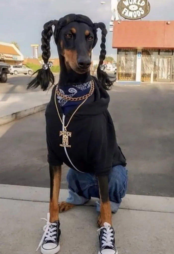 And This Year's Winner Of Halloween