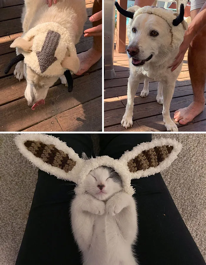 Appa And Momo Pet Costumes