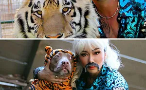 50 Times Pet Halloween Costumes Did Not Disappoint (New Pics)