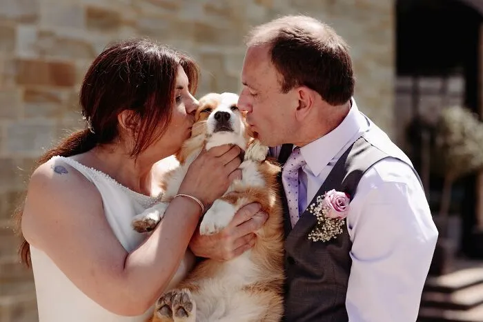 My Corgi Woofles. Only Joking, She's Obviously A Member Of The Family. It's My Husband Who Is The Most Epic Thing We Own