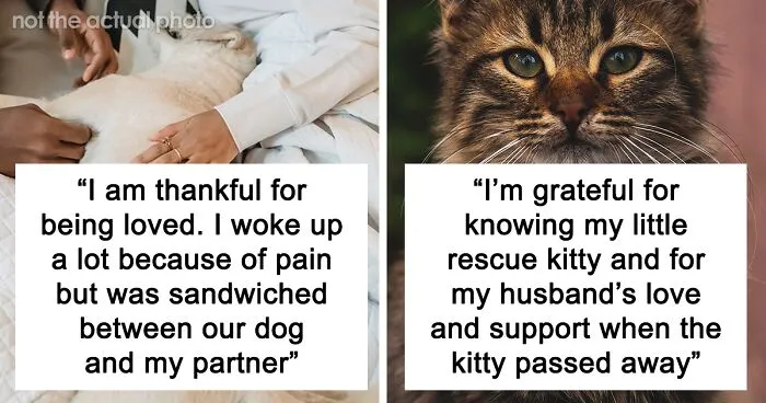“What Is Something You Are Thankful For”: 50 Pandas Shared For What They Feel Grateful This Year