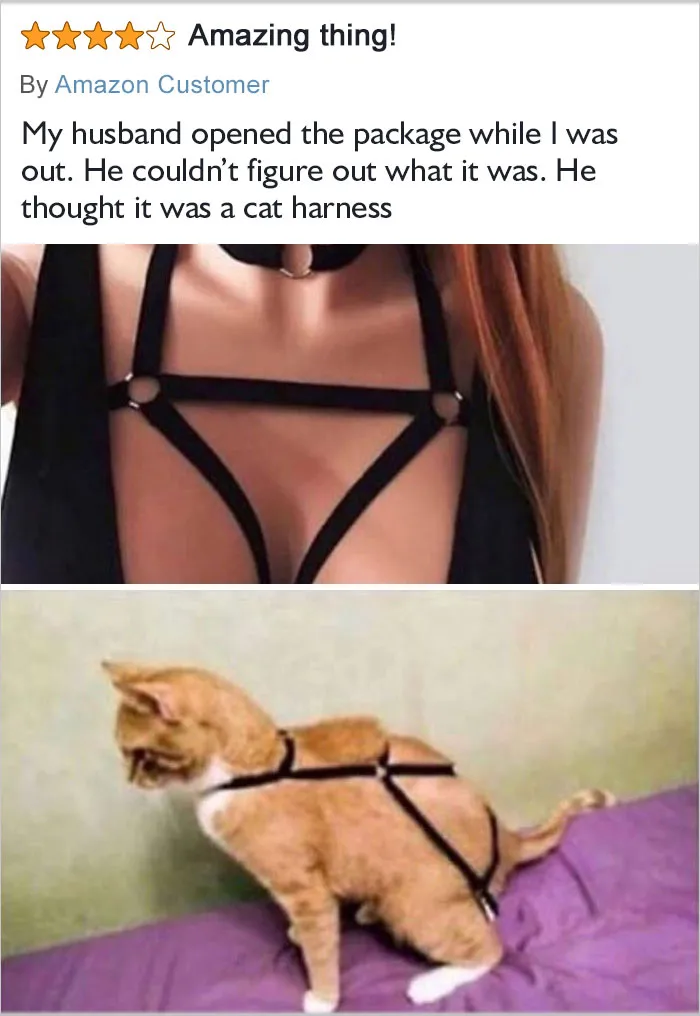 But Did It Work?