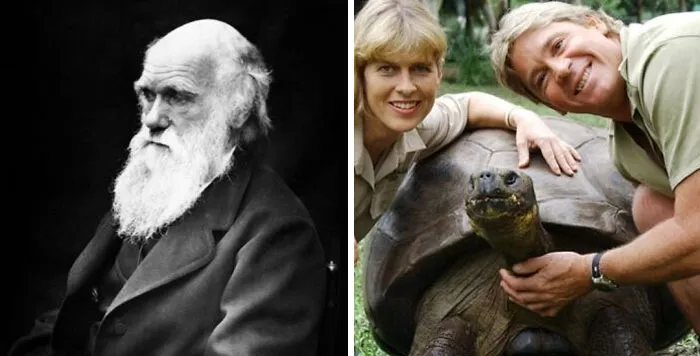 Harriet The Tortoise, Who Died In 2006, Had Seen Charles Darwin In Person