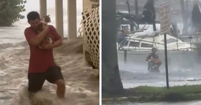 People Online Applaud Ordinary Heroes Who Risked Their Lives To Save Stranded Animals During Hurricane Ian