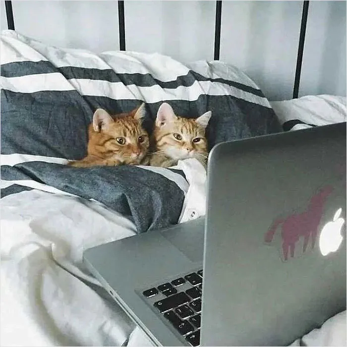 20 Memes para quienes están cansados y agobiados con la vida