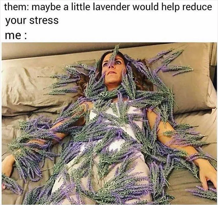 30 Memes For Those Who Are Tired And Feel Like Life Is Overwhelming, Shared By This Instagram Account