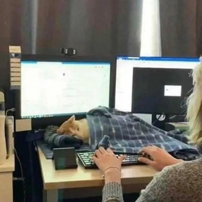 20 Memes para quienes están cansados y agobiados con la vida