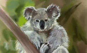 I Illustrated Animals In Their Natural Surroundings (19 Pics)
