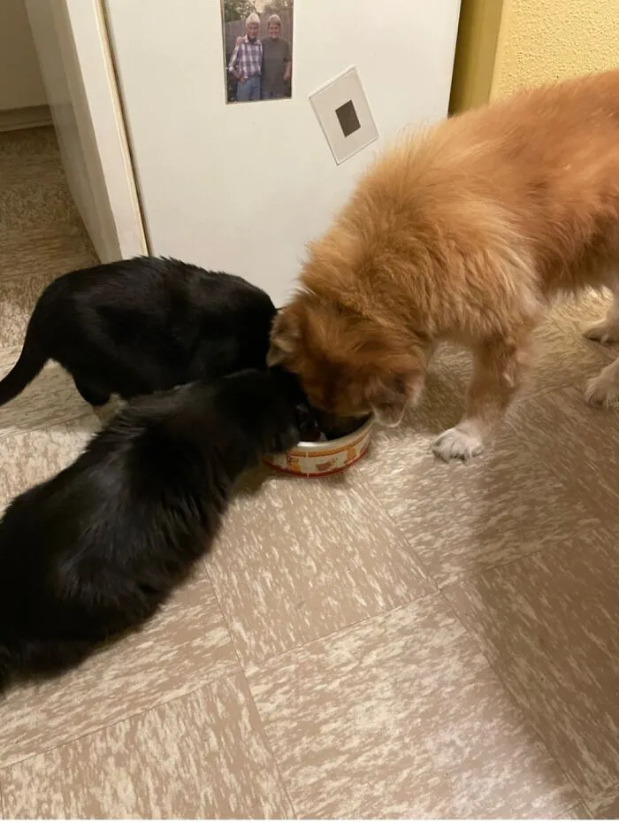 Sharing!