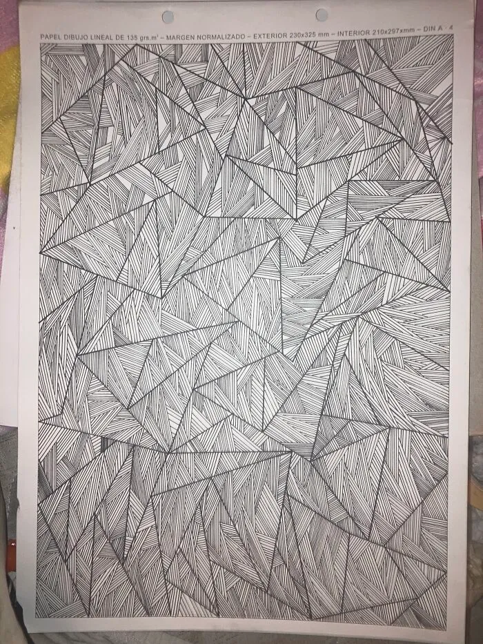 I Can't Promise This Is The Last One I Have Adhd Can't Finish A Project