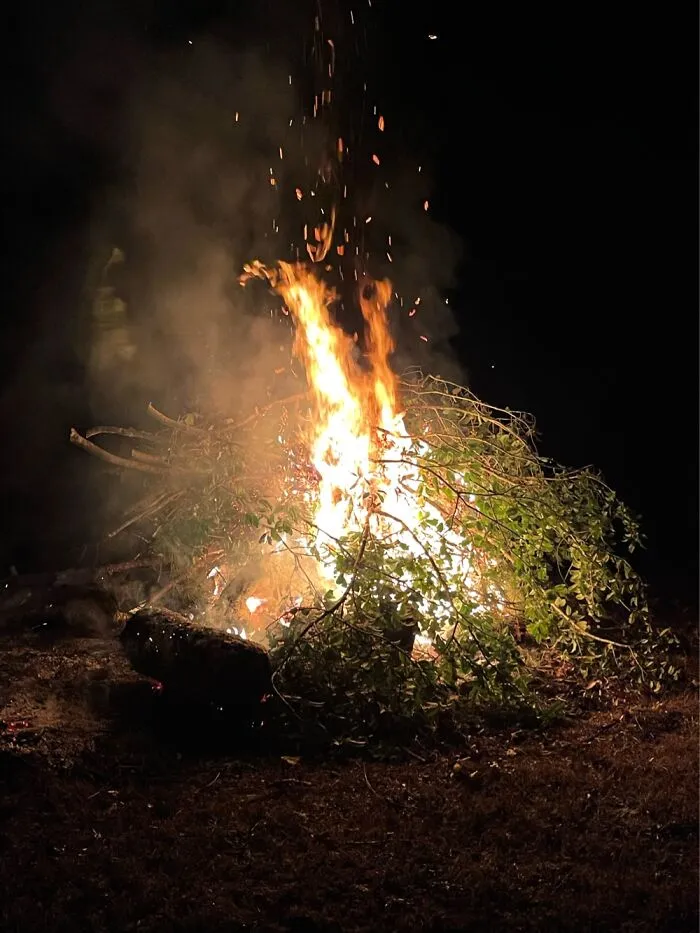 Love A Fall Bonfire