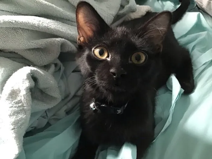 Henri!!!