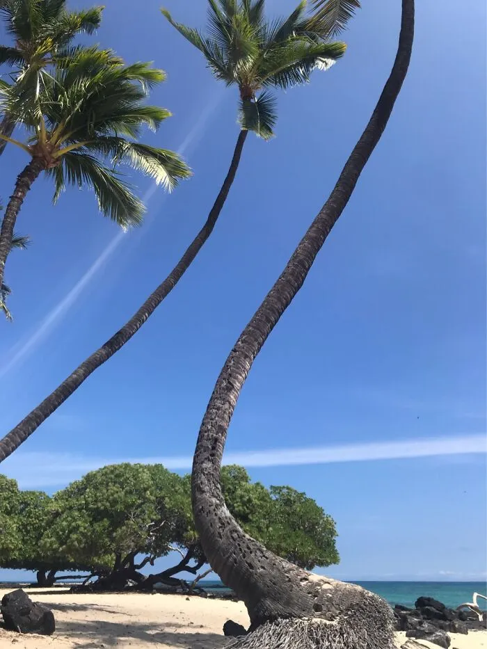 The Big Island