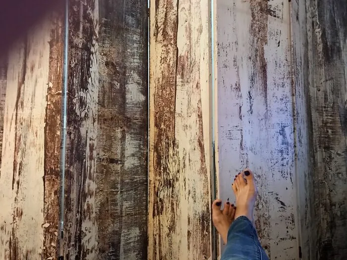 This Room Divider Was $200 And Cheaply Made But I Have Been Loving It For Years