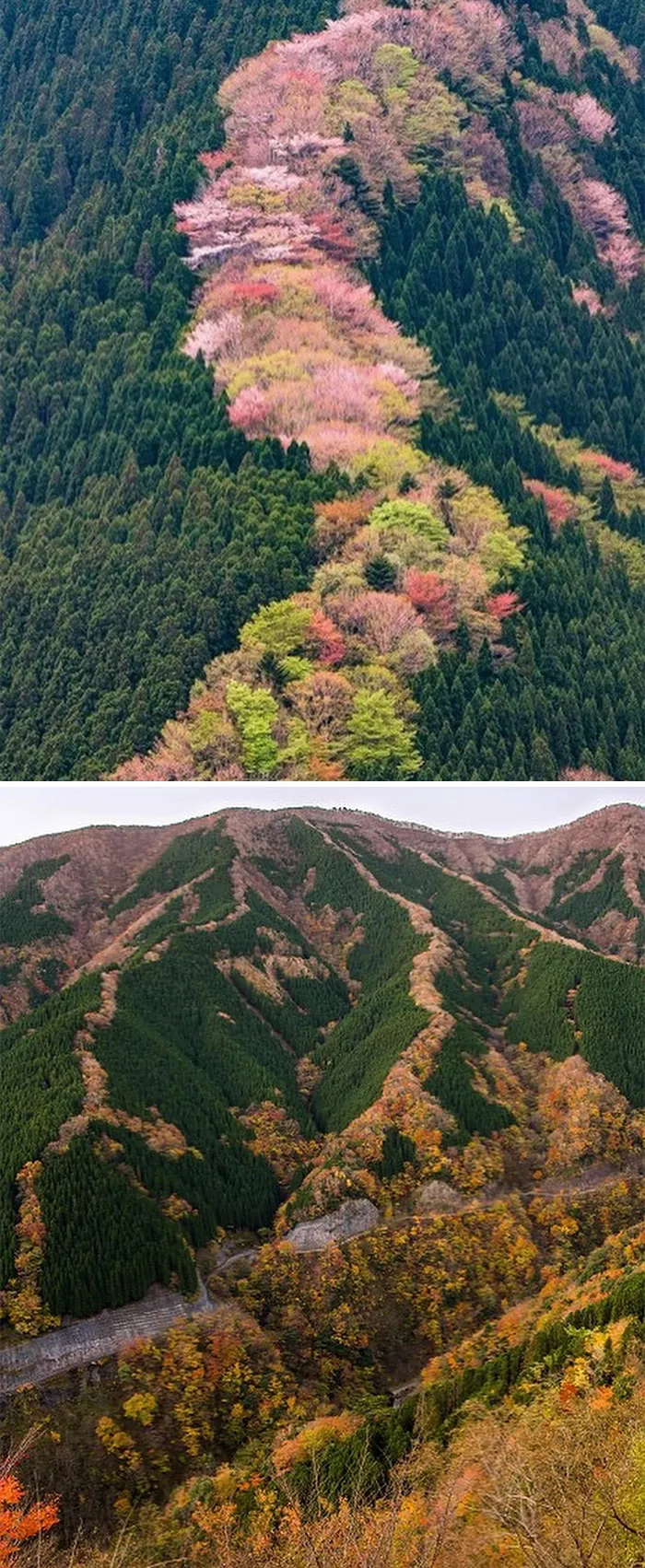 ‘Somewhere I Would Like To Live’: 38 Awesome Places And Homes Around The World That Actually Exist (New Pics)