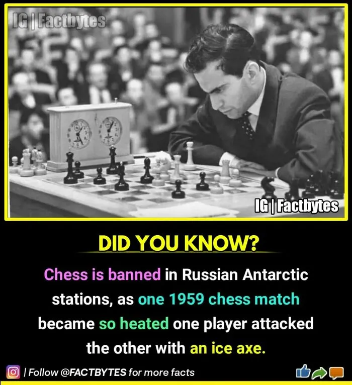 50 Random Facts About The World You Probably Didn't Know, As Shared By This Wildly Popular Instagram Account