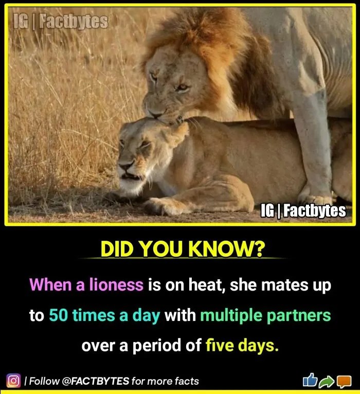 50 Random Facts About The World You Probably Didn't Know, As Shared By This Wildly Popular Instagram Account
