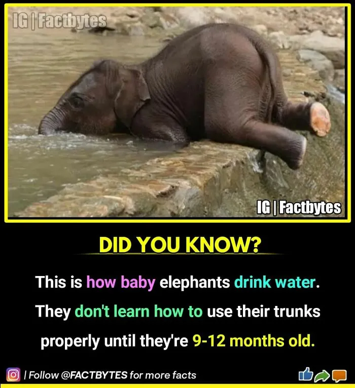 50 Random Facts About The World You Probably Didn't Know, As Shared By This Wildly Popular Instagram Account