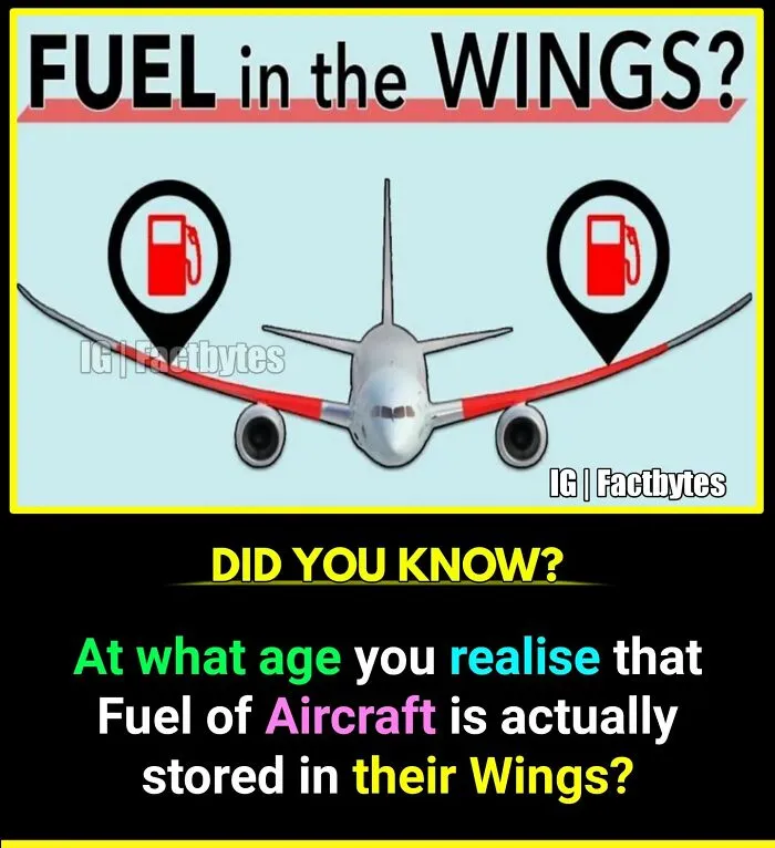 50 Random Facts About The World You Probably Didn't Know, As Shared By This Wildly Popular Instagram Account