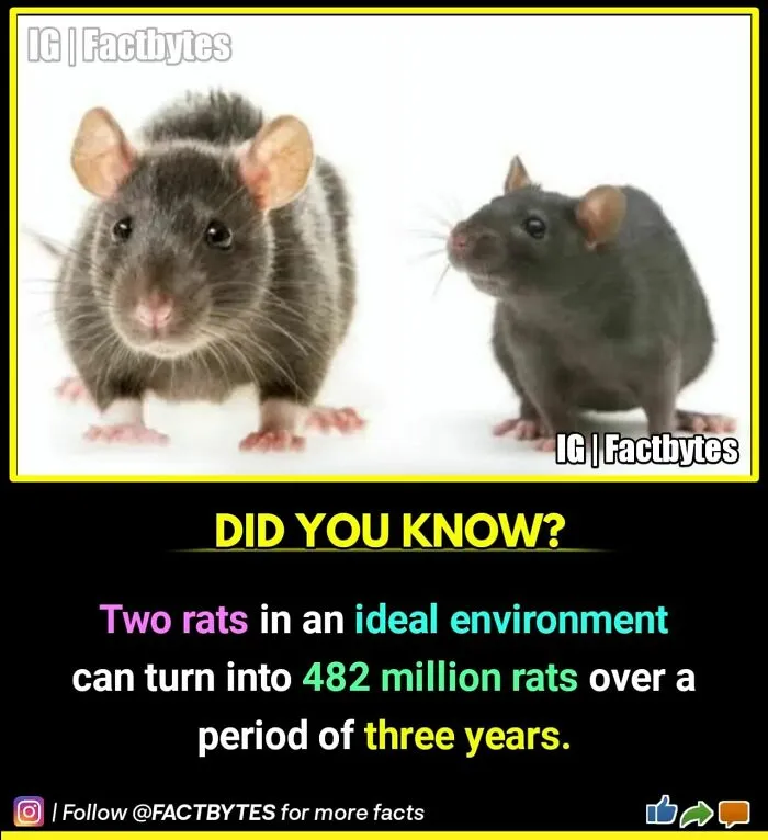 Interesting-Facts-Factbytes