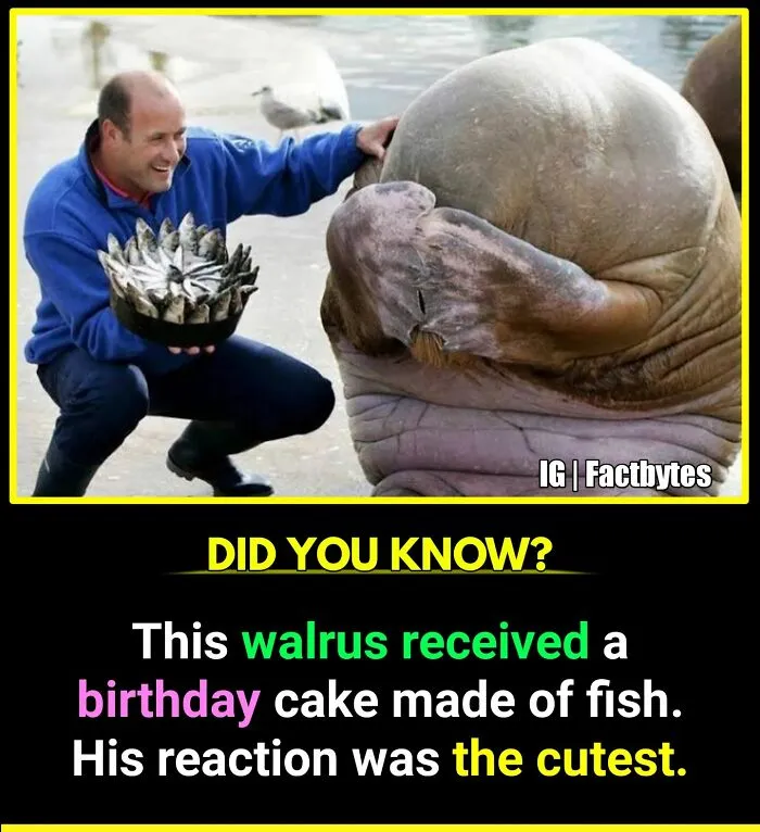 50 Random Facts About The World You Probably Didn't Know, As Shared By This Wildly Popular Instagram Account