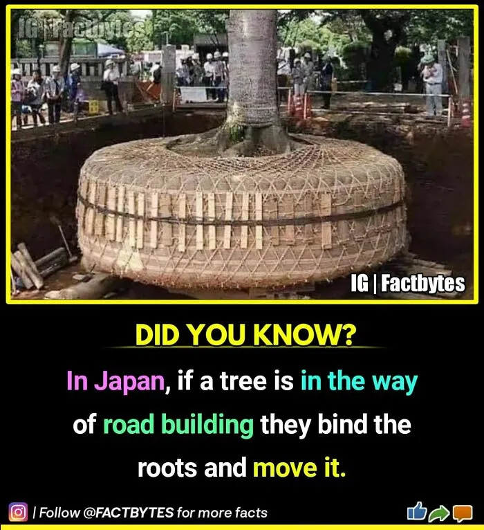 50 Random Facts About The World You Probably Didn't Know, As Shared By This Wildly Popular Instagram Account