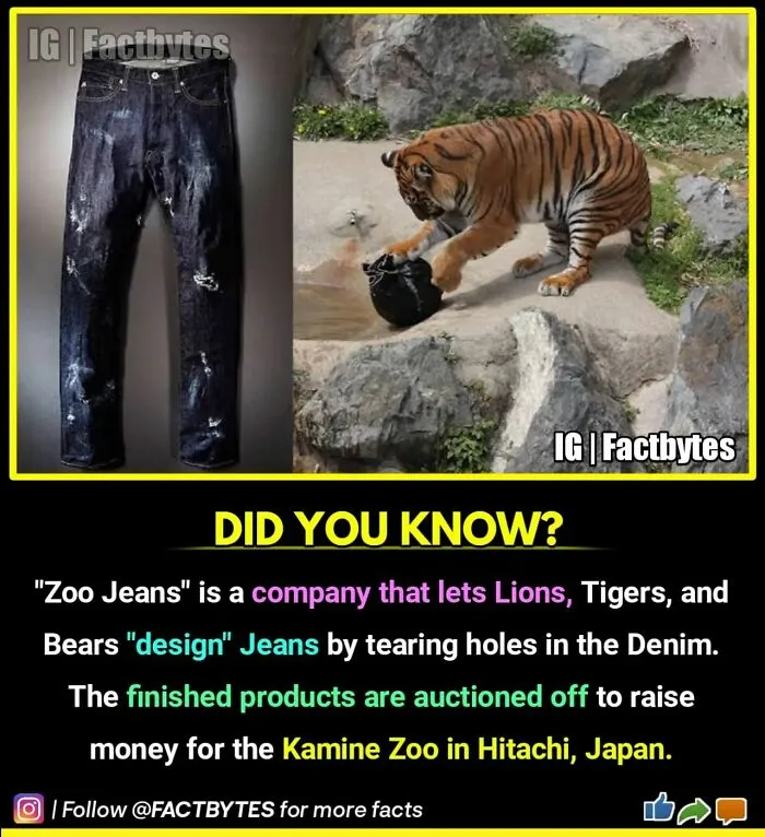 50 Random Facts About The World You Probably Didn't Know, As Shared By This Wildly Popular Instagram Account
