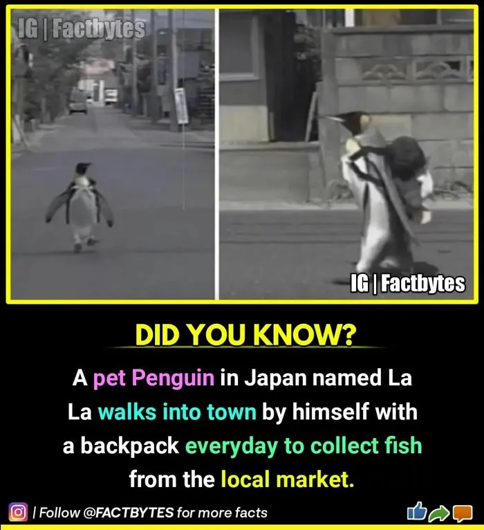 50 Random Facts About The World You Probably Didn't Know, As Shared By This Wildly Popular Instagram Account