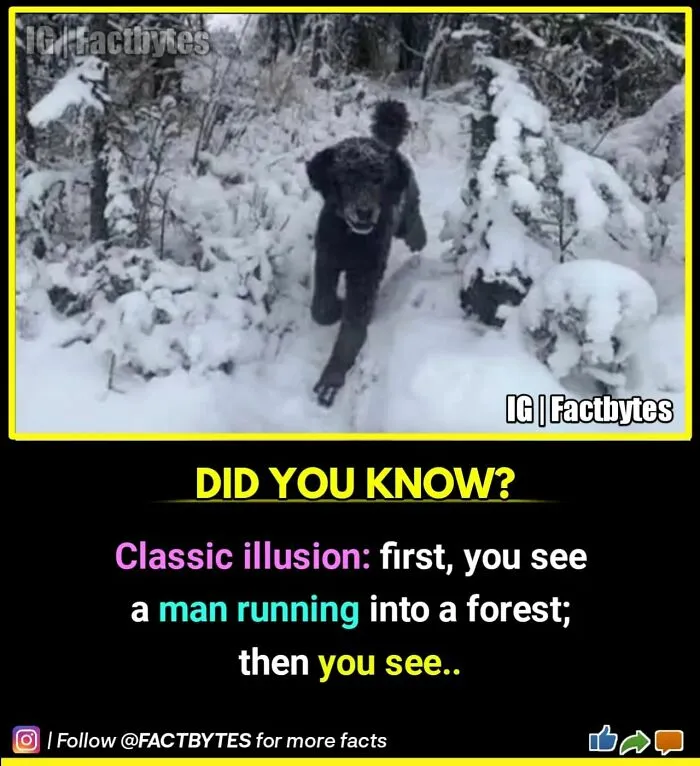 50 Random Facts About The World You Probably Didn't Know, As Shared By This Wildly Popular Instagram Account