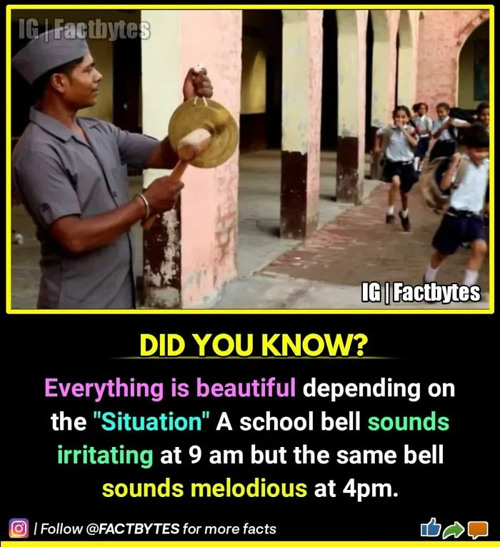 50 Random Facts About The World You Probably Didn't Know, As Shared By This Wildly Popular Instagram Account