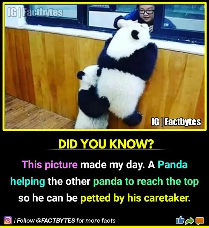 50 Random Facts About The World You Probably Didn't Know, As Shared By This Wildly Popular Instagram Account