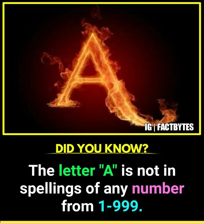 50 Random Facts About The World You Probably Didn't Know, As Shared By This Wildly Popular Instagram Account