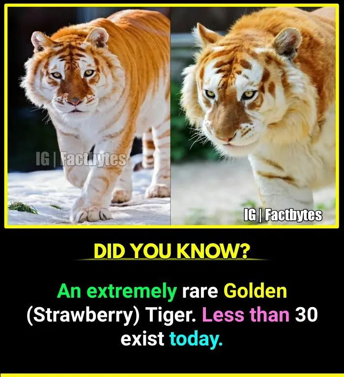50 Random Facts About The World You Probably Didn't Know, As Shared By This Wildly Popular Instagram Account