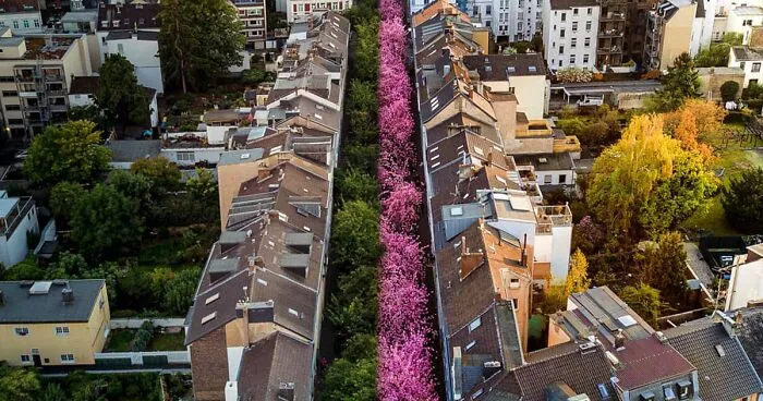 Here Are 30 Incredible Split Images Taken By A Professional Photographer From An Aerial Point Of View