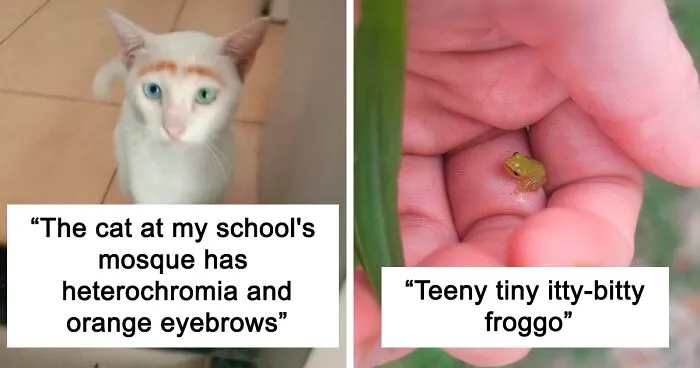 This Twitter Account Posts Things That Are Merely Amusing (40 Pics)