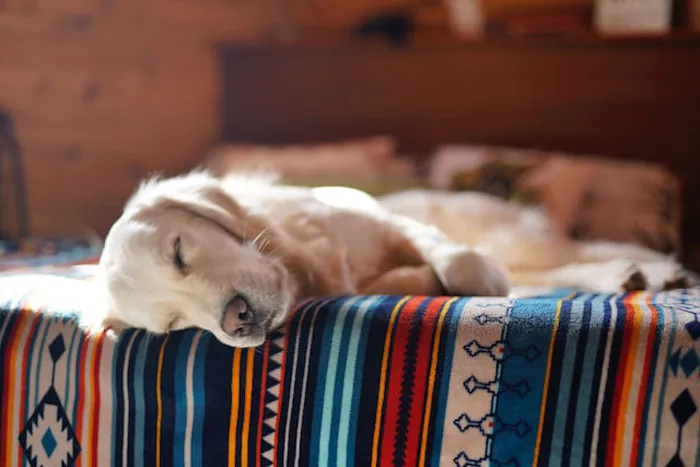 40 Adults Share What They Totally Misunderstood As Children, And It Might Crack You Up